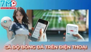 Cá độ bóng đá trên điện thoại