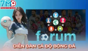 Diễn đàn cá độ bóng đá