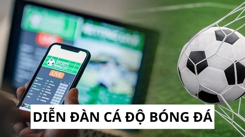 Top 5 diễn đàn cá độ bóng đá