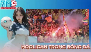 Hooligan trong bóng đá