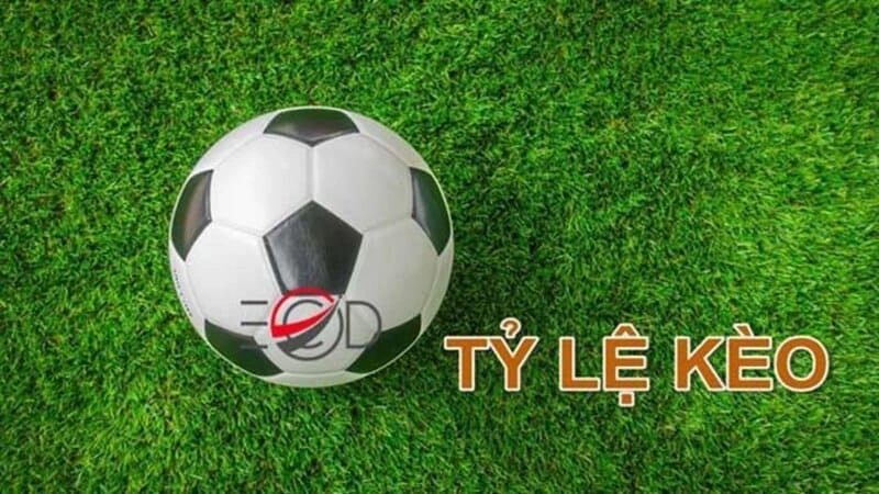 Nắm bắt quy định là yếu tố quan trọng