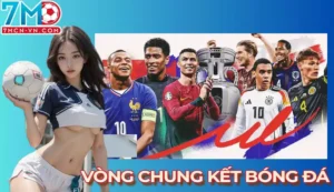 vòng chung kết bóng đá
