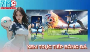 xem trực tiếp bóng đá