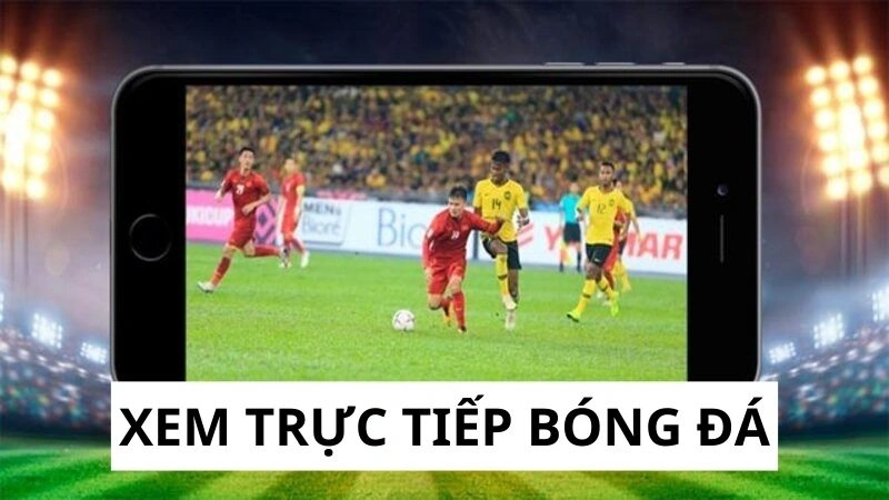 Xem trực tiếp bóng đá với giải lớn nhỏ