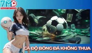cá độ bóng đá không thua