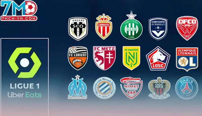 Ligue 1 – Tìm hiểu về giải đấu lớn nhất nước Pháp