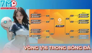 Vòng 1/16 là gì